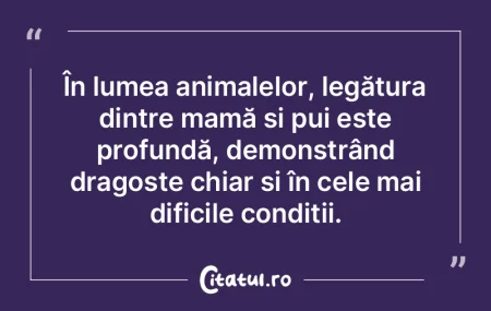 Singurul mod de a rămâne sărac este s...