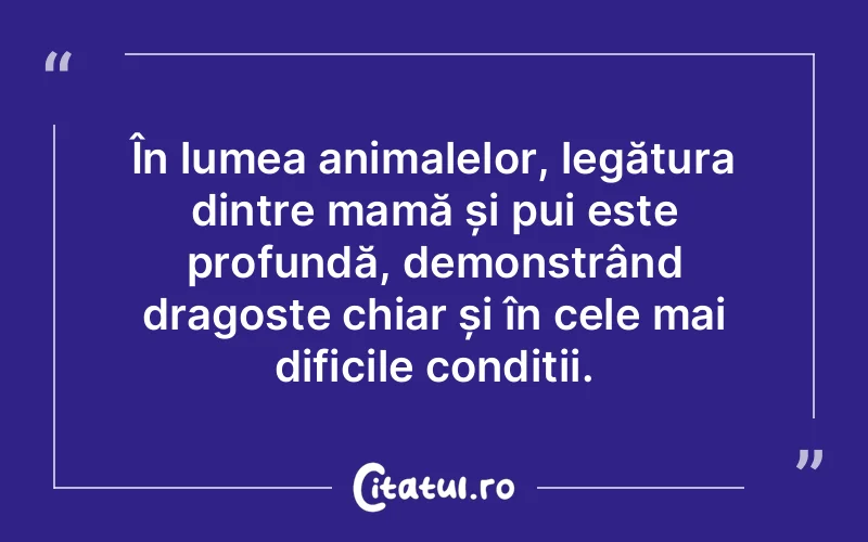 Citat Autor necunoscut - citate viata