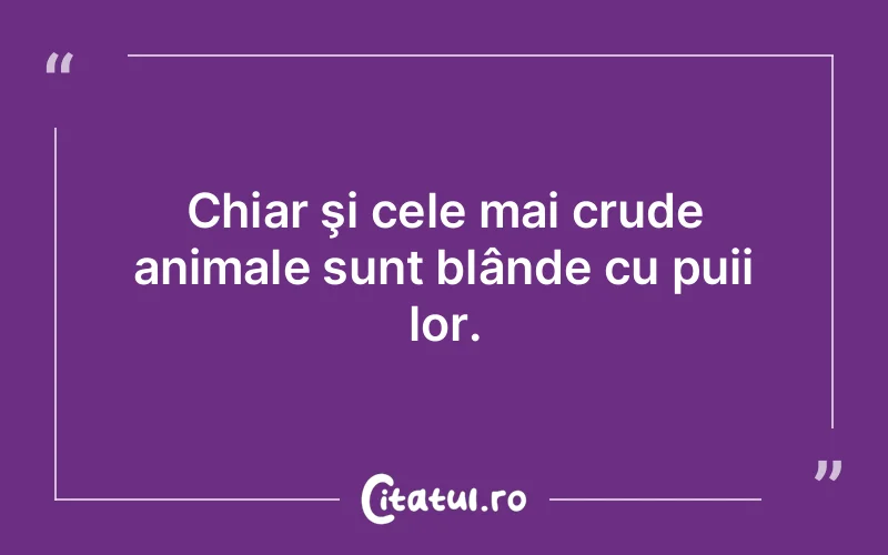 Citat Autor necunoscut - citate viata