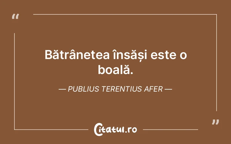 Citat Publius Terentius Afer - citate viata