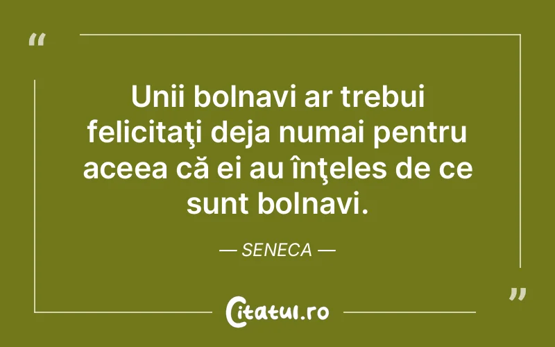 Citat Seneca - citate viata