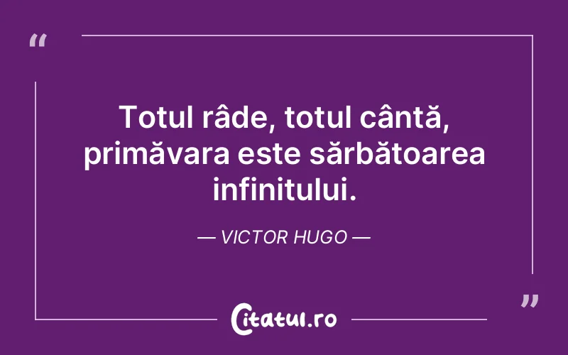 Citat Victor Hugo - citate viata