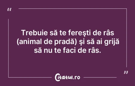 Daca nu poti dormi, ridica-te si realize...