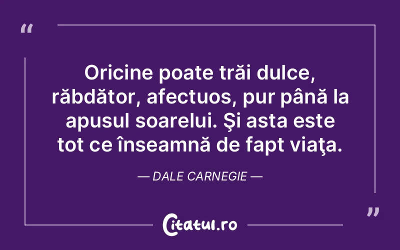 Citat Dale Carnegie - citate viata