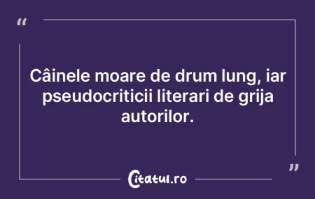 A divorţa este ca şi cum ai fi lovit d...