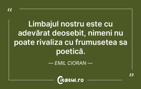 O altă limbă presupune o altă viziune...