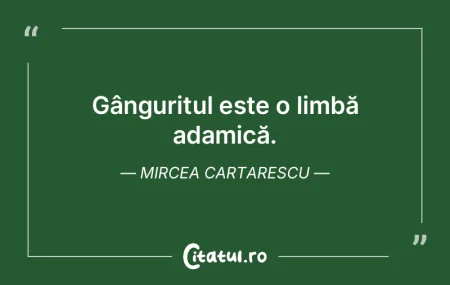 A vorbi despre limba în care gândeşti... A vorbi despre limba în care gândeşti...