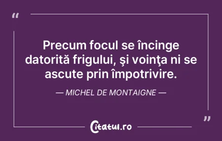 Numai cel care nu ştie să se joace cu ... Numai cel care nu ştie să se joace cu ...