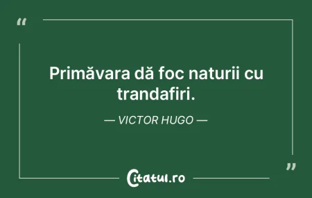Educația nu constă în a umple o găle... Educația nu constă în a umple o găle...