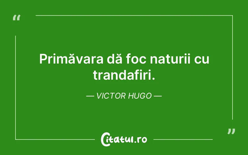 Citat Victor Hugo - citate viata
