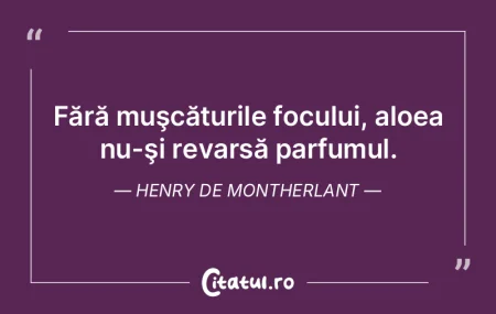 Frivolitatea este dură ca oţelul. Henr...