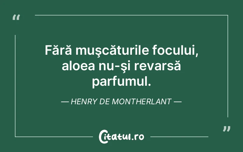 Citat Autor necunoscut - citate viata