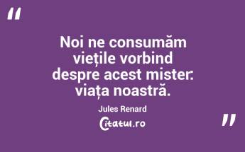 Noi ne consumăm vieţile vorbind despre acest mister: viaţa noastră. Jules Renard...