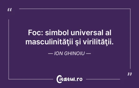 Focul mistuie fără nici o greutate lem...