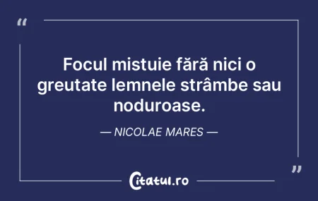 Disciplina este focul purificator prin c...