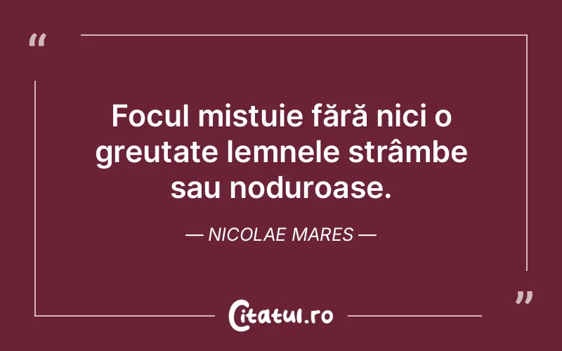 Citat Nicolae Mares - citate viata