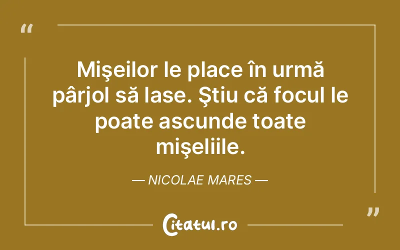 Citat Nicolae Mares - citate viata