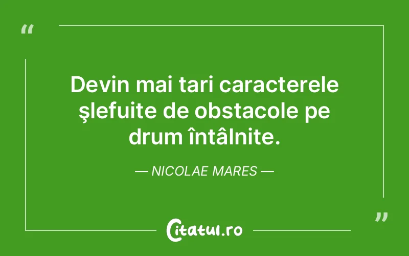 Citat Nicolae Mares - citate viata
