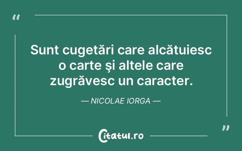 Citat Nicolae Iorga - citate viata