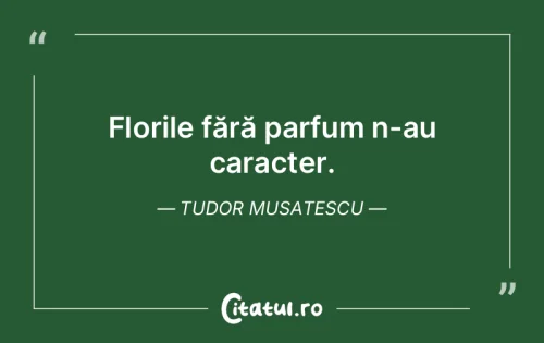 Citat Viață - Citatul.ro