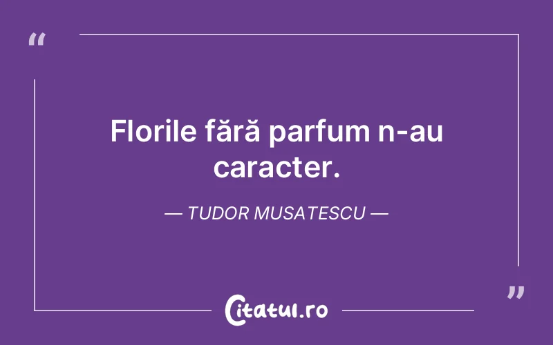 Citat Tudor Musatescu - citate viata