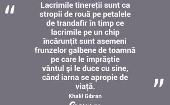Lacrimile tinereţii sunt ca stropii de rouă pe petalele de trandafir în timp ce lacrimile pe un chip încărunţit sunt asemeni frunzelor galbene de toamnă pe care le împrăştie vântul şi le duce cu sine, când iarna se apropie de viaţă. Khalil Gibran...