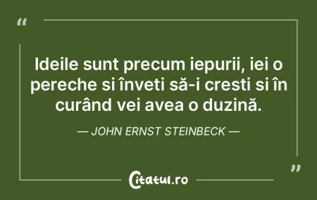 O idee care nu este periculoasă nici nu... O idee care nu este periculoasă nici nu...