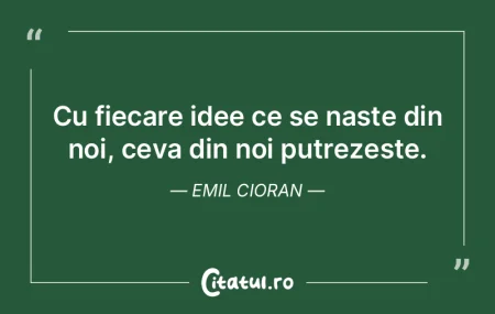 Ideile noastre, dupa ce le nastem, mai a...