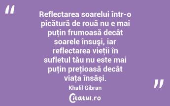 Reflectarea soarelui într-o picătură de rouă nu e mai puţin frumoasă decât soarele însuşi, iar reflectarea vieţii în sufletul tău nu este mai puţin preţioasă decât viaţa însăşi. Khalil Gibran...