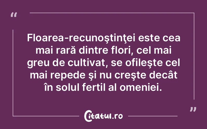 Citat Autor necunoscut - citate viata