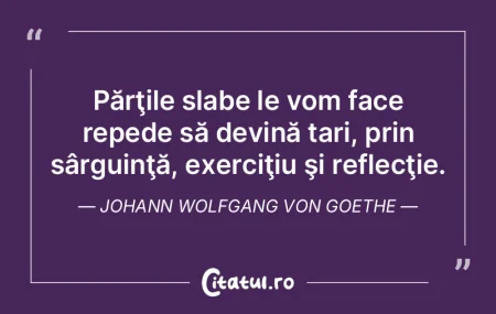 Pasărea rătăcită se va întoarce, î... Pasărea rătăcită se va întoarce, î...
