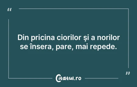 Ar trebui să se dea amendă dacă trăi... Ar trebui să se dea amendă dacă trăi...
