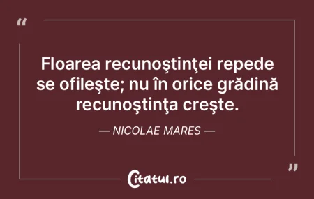 Cei din urmă vor fi cei dintâi, dar mu...
