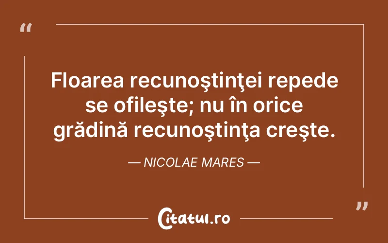 Citat Nicolae Mares - citate viata