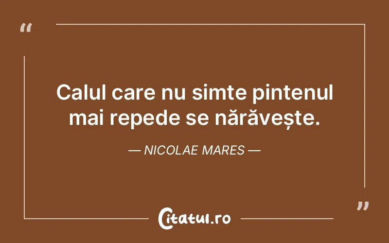 Citat Nicolae Mares - citate viata