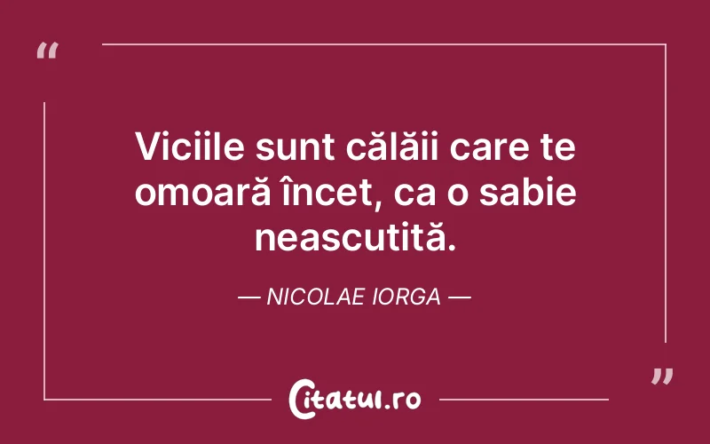 Citat Nicolae Iorga - citate viata