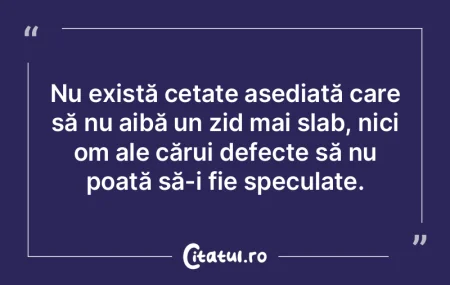 Un traducător bun şlefuieşte micile i...