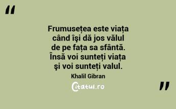 Frumuseţea este viaţa când îşi dă jos vălul de pe faţa sa sfântă. Însă voi sunteţi viaţa şi voi sunteţi valul. Khalil Gibran...