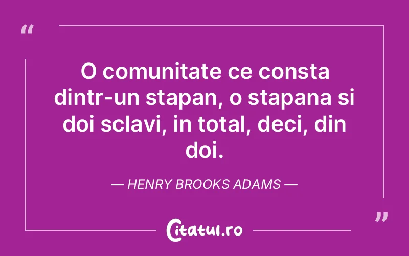 Citat Henry Brooks Adams - citate viata