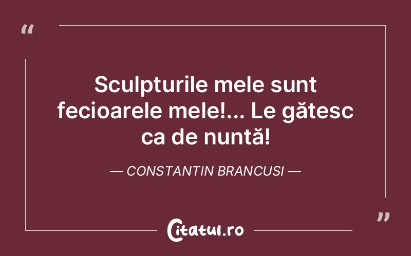 Citat Constantin Brancusi - citate viata