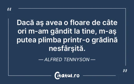 Sunt flori peste tot pentru cine vrea sa...