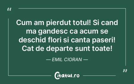 Ironia este o floare care nu creşte în... Ironia este o floare care nu creşte în...