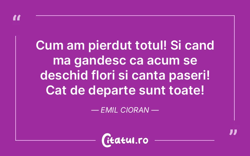 Citat Emil Cioran - citate viata