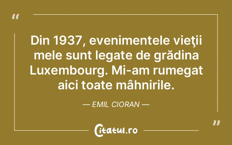 Citat Emil Cioran - citate viata