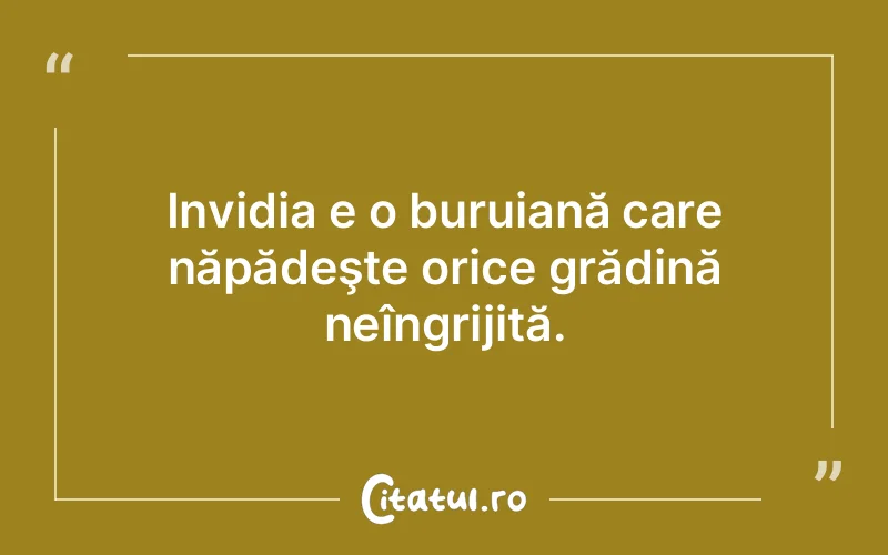 Citat Autor necunoscut - citate viata