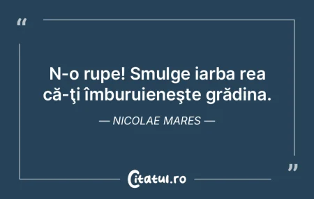 Nerodul care-şi dă cu părerea despre ...