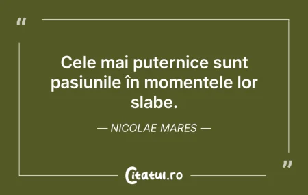 Muntele: un urs de piatră cu zmeură î... Muntele: un urs de piatră cu zmeură î...