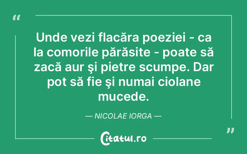 Citat Nicolae Iorga - citate viata