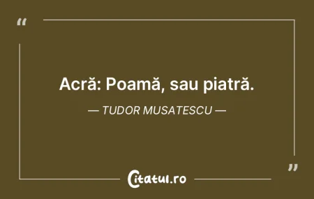 Constantin Brâncuși este poetul și fi...