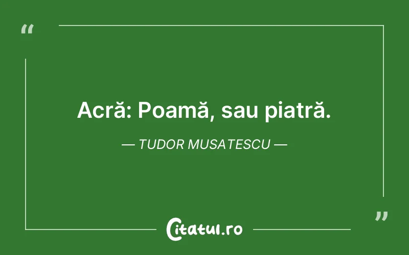 Citat Tudor Musatescu - citate viata
